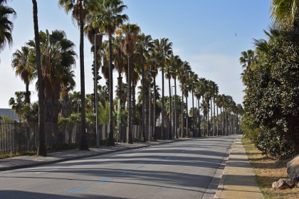 Jardines de Mosén Costa Llobera