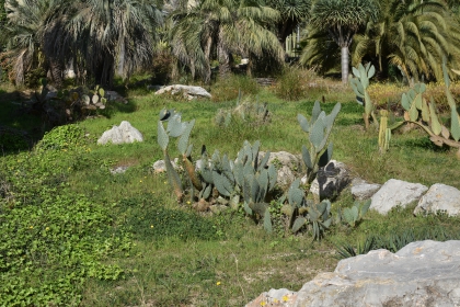 Jardines de Mosén Costa Llobera