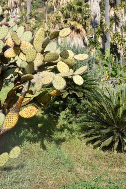 Jardines de Mosén Costa Llobera